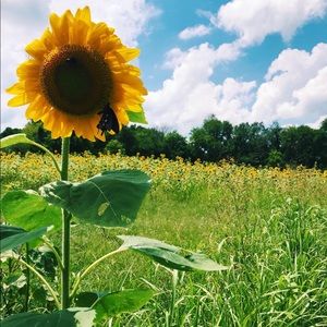 Meet your Posher, Emma